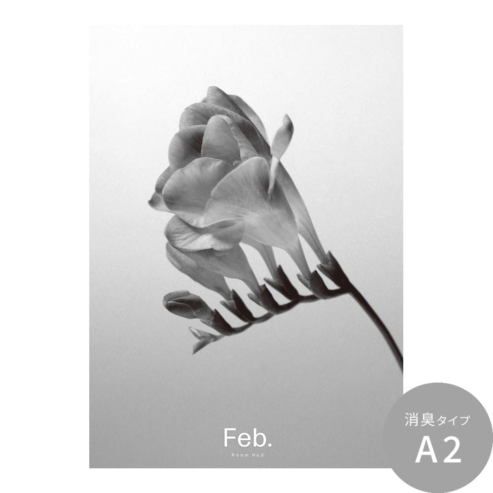 貼ってはがせる 消臭 アートポスター A2サイズ Room No.0 Birthday Art Poster Single flower 2月 フリージア SRN-BSF02