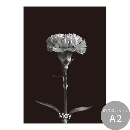 アートポスター のりなし A2サイズ Room No.0 Birthday Art Poster Single flower 5月 カーネーション NRN-BSF05