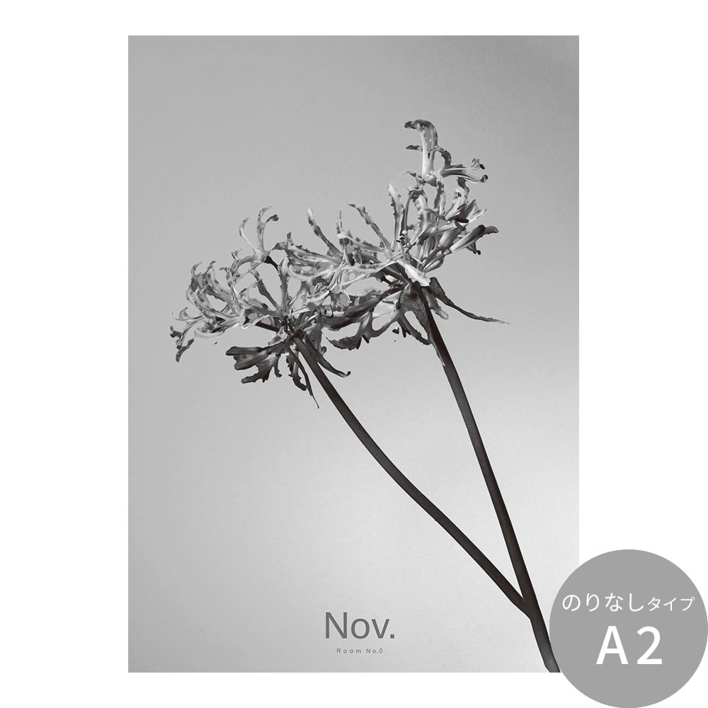 アートポスター のりなし A2サイズ Room No.0 Birthday Art Poster Single flower 11月 ネリネ NRN-BSF11