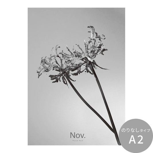 アートポスター のりなし A2サイズ Room No.0 Birthday Art Poster Single flower 11月 ネリネ NRN-BSF11