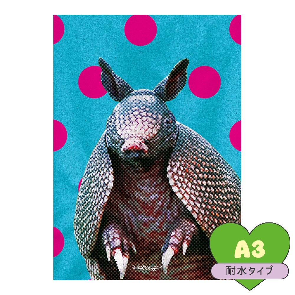 お風呂にも貼れる ポスターステッカー A3サイズ What's poppin? サイケドットアニマル ARMADILLO MWP-AAP03