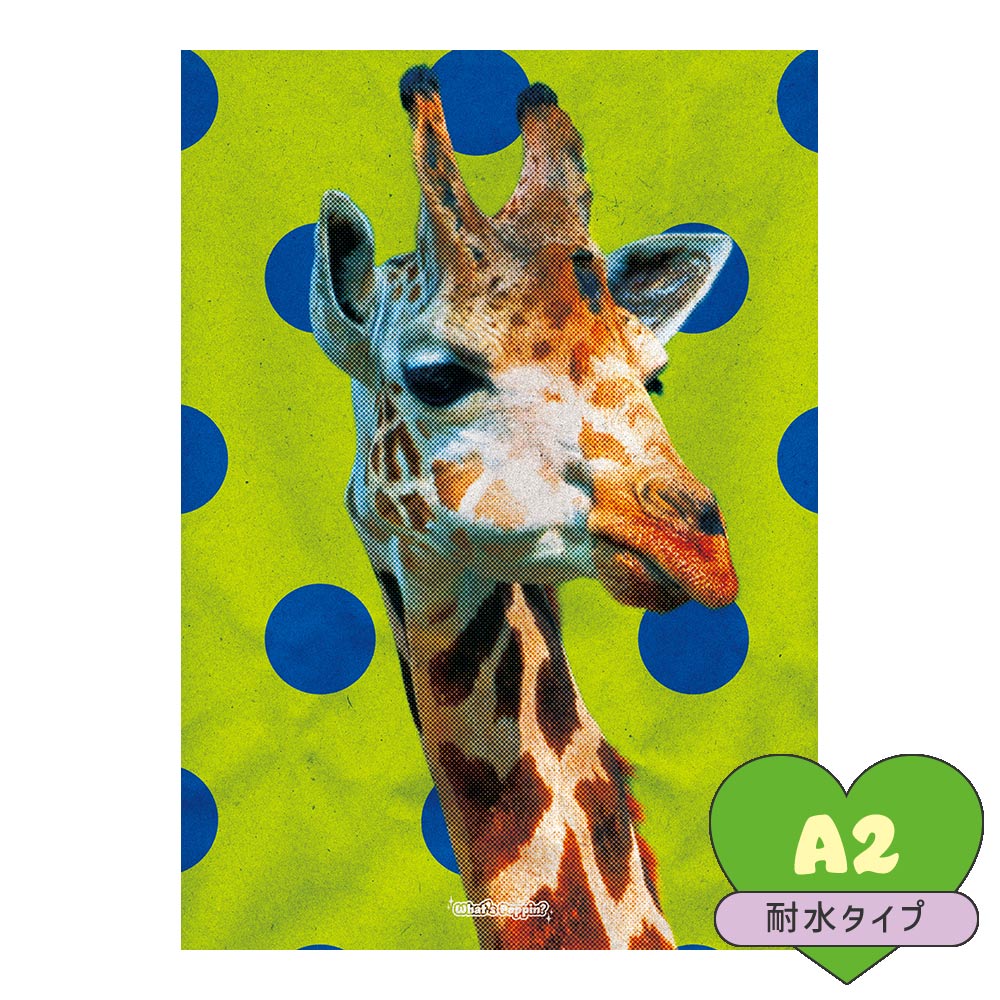 お風呂にも貼れる ポスターステッカー A2サイズ What's poppin? サイケドットアニマル GIRAFFE MWP-AAP08