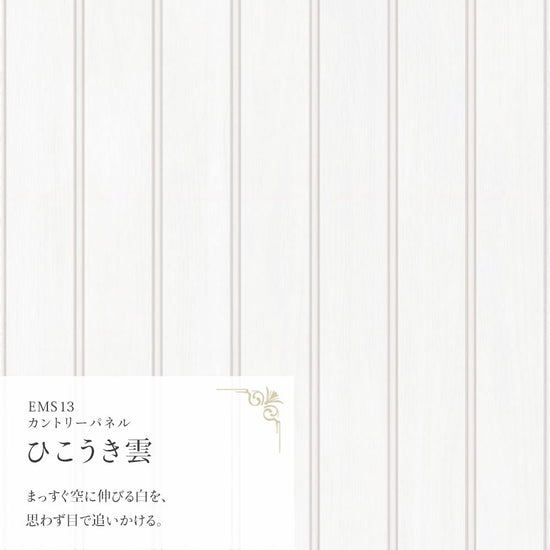 【A4サイズ】EASY WALL TAPE EMS13