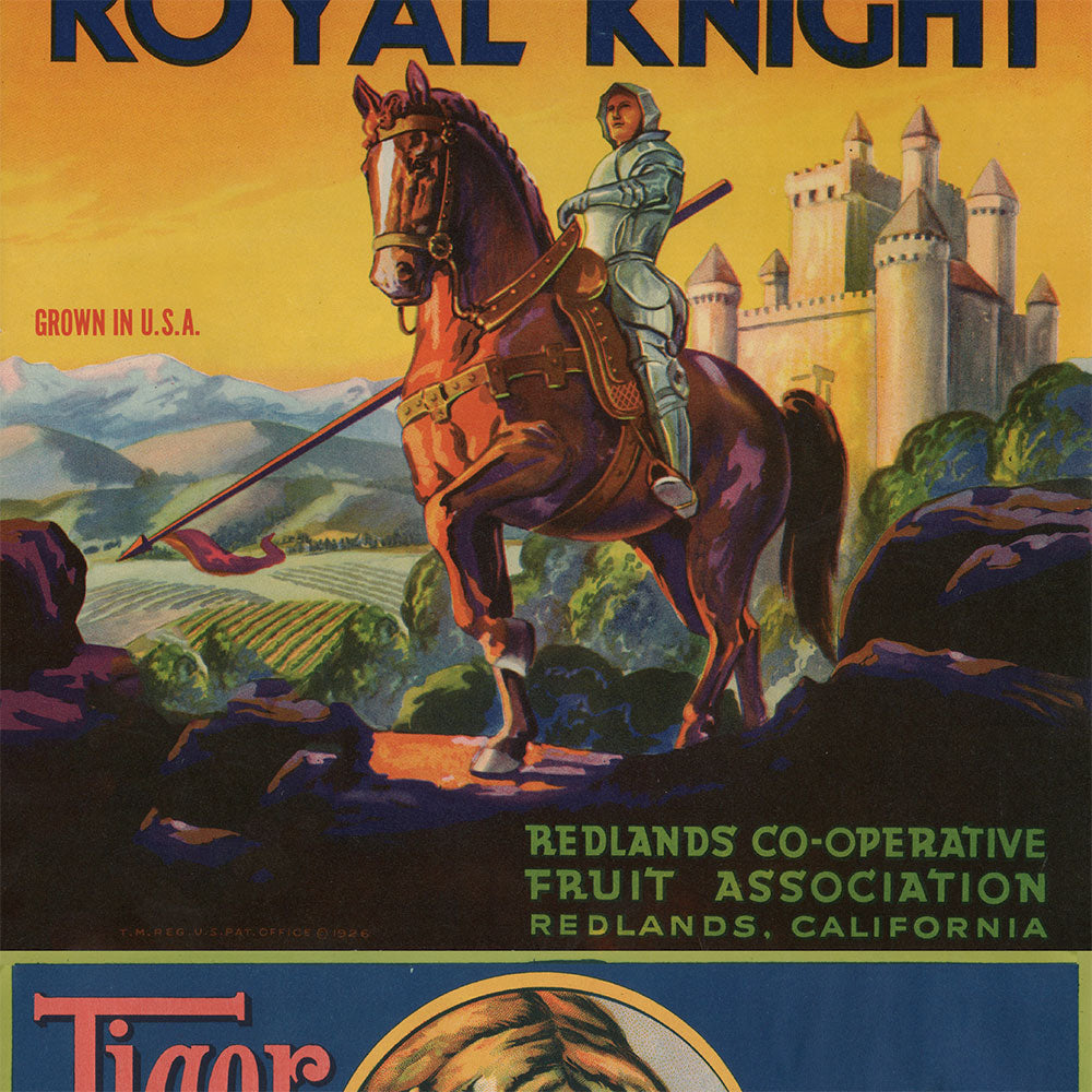 EASY WALL TAPE NLXL ENX05 Crate Labels People & Animals A（イージーウォールテープ）幅23cm×6m