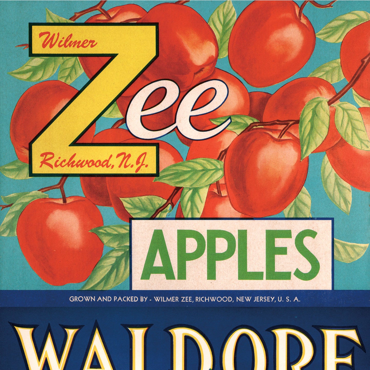 EASY WALL TAPE NLXL ENX07 Crate Labels Fruit & Vegetables A（イージーウォールテープ）幅23cm×6m