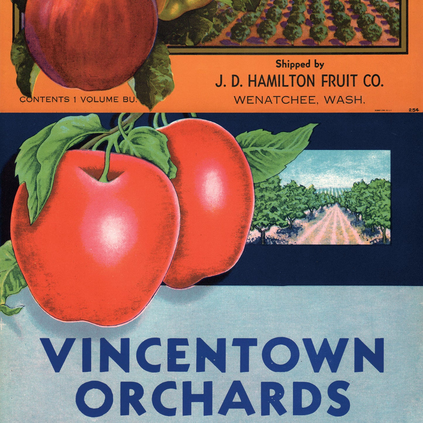 EASY WALL TAPE NLXL ENX08 Crate Labels Fruit & Vegetables B（イージーウォールテープ）幅23cm×6m