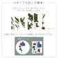 貼ってはがせる Botanical Sticker ボタニカルステッカー Lサイズ 柱サボテンB HMST-BTS-L06