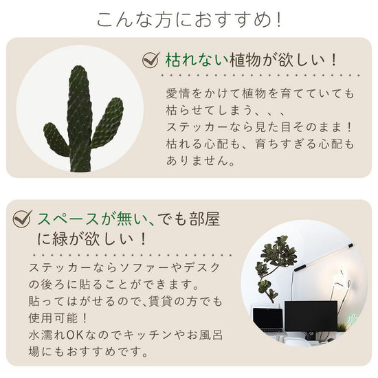 おすすめの方1