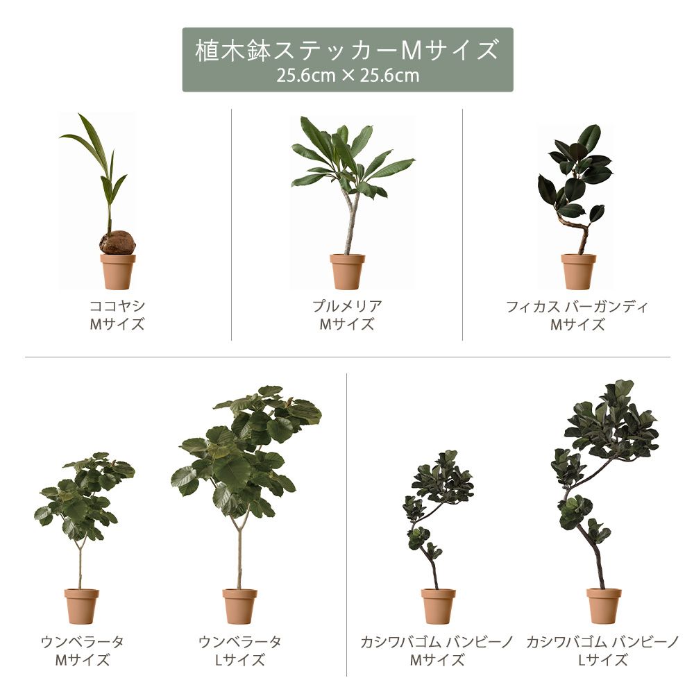 貼ってはがせる POT STICKER 植木鉢ステッカー Lサイズ テラコッタ HMST-PTS-L03