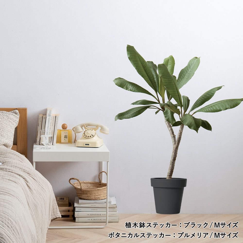 貼ってはがせる POT STICKER 植木鉢ステッカー Mサイズ ブラック HMST-PTS-M02