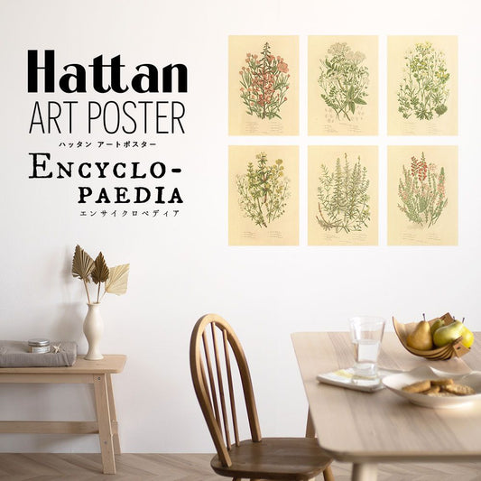 はがせるポスター壁紙 Hattan Art Poster Encyclopaedia ハッタン アートポスター エンサイクロペディア ワイルドフラワー1 HAAP-EN01