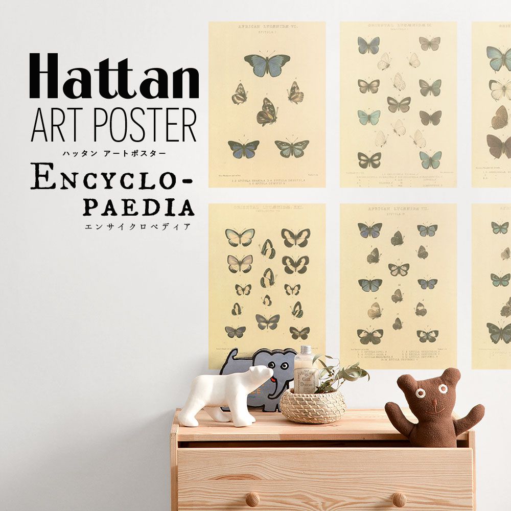 はがせるポスター壁紙 Hattan Art Poster Encyclopaedia ハッタン アートポスター エンサイクロペディア バタフライ1 HAAP-EN03