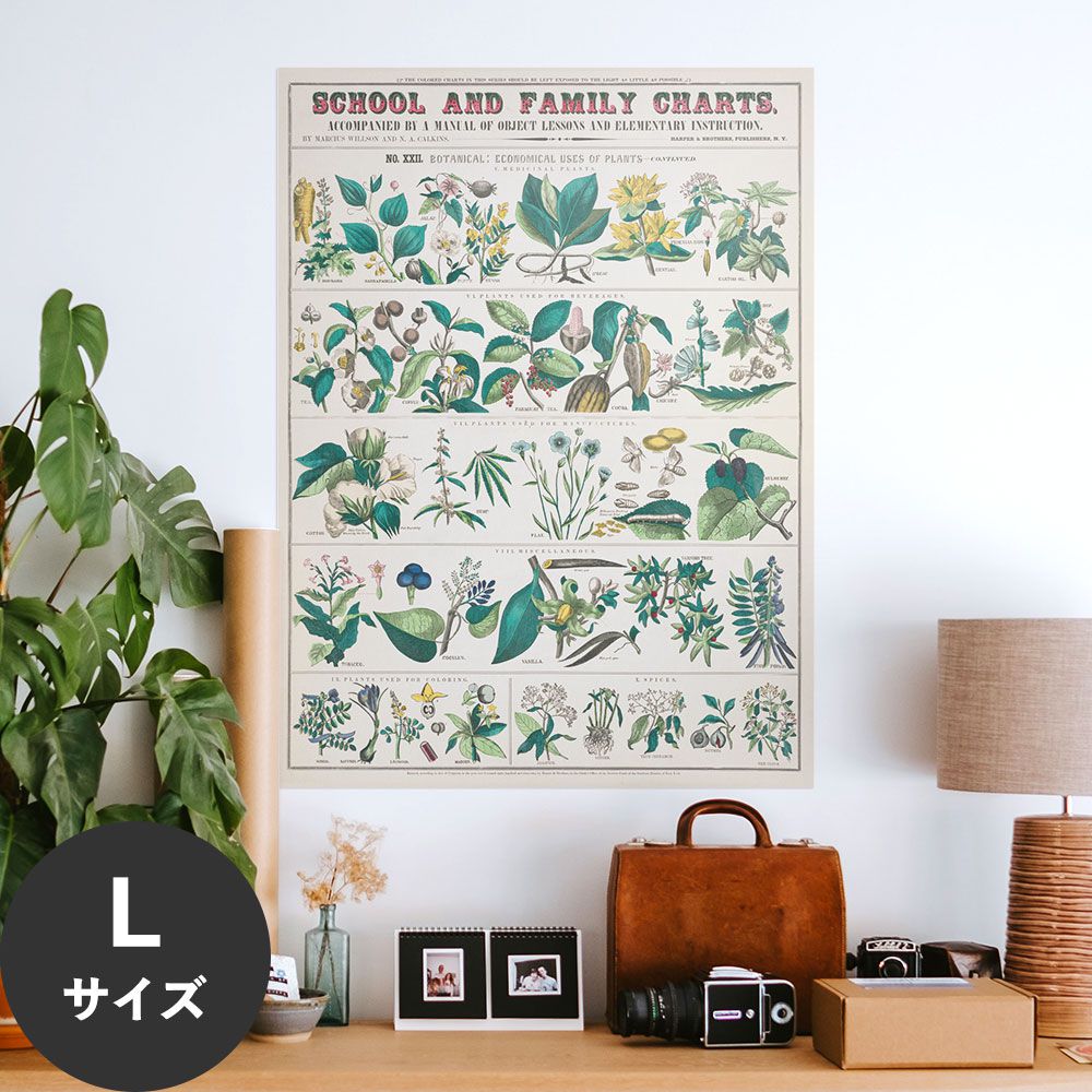 Hattan Art Poster ハッタンアートポスター botanical: economical uses of plants / HP-00017 Lサイズ(67cm×90cm)