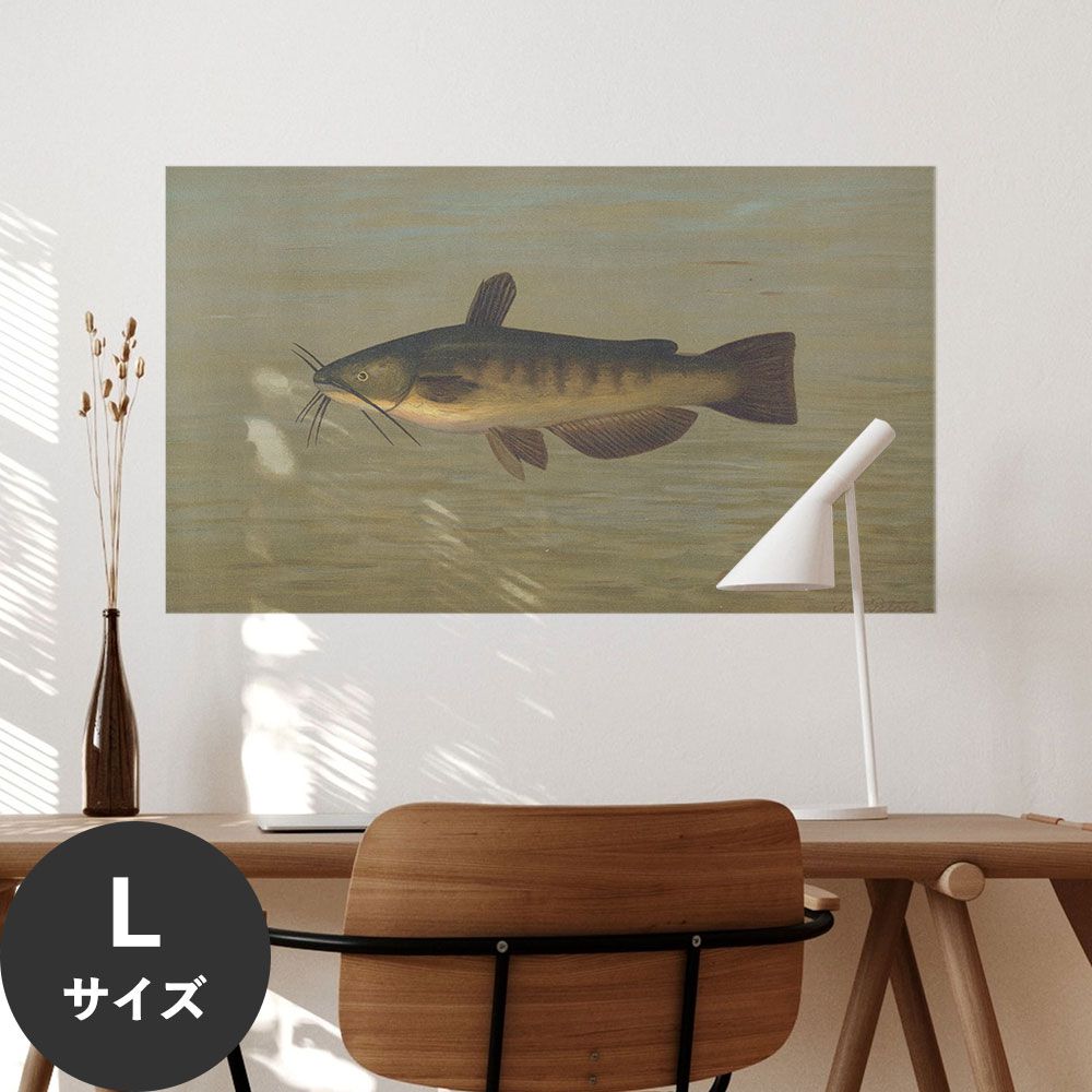 Hattan Art Poster ハッタンアートポスター The Common Bullhead  / HP-00101 Lサイズ(90cm×52cm)