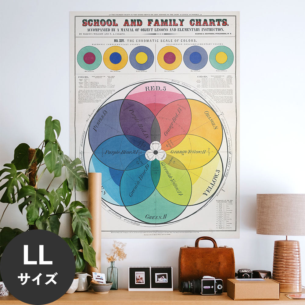 Hattan Art Poster ハッタンアートポスター School and family charts / HP-00198 LLサイズ(90cm×120cm)