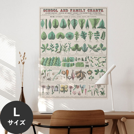 Hattan Art Poster ハッタンアートポスター School and family charts, Botanical / HP-00199 Lサイズ(67cm×90cm)