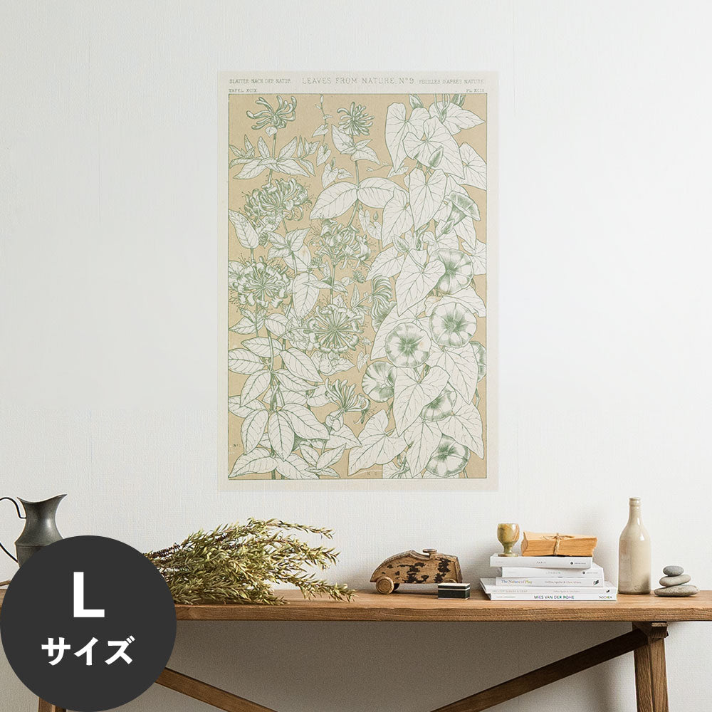 Hattan Art Poster ハッタンアートポスター Leaves from Nature No.9 / HP-00259 Lサイズ(60cm×90cm)