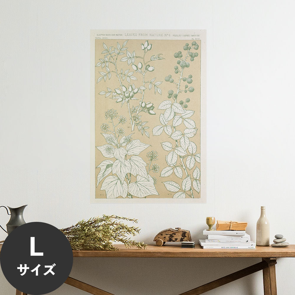 Hattan Art Poster ハッタンアートポスター Leaves from Nature No.6 / HP-00260 Lサイズ(60cm×90cm)