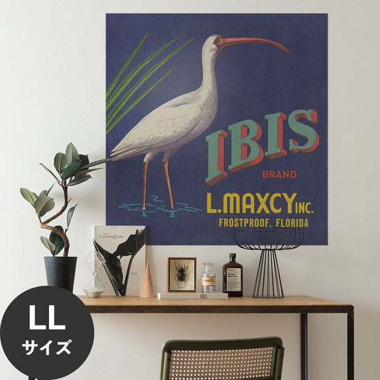 Hattan Art Poster ハッタンアートポスター Ibis Brand Fruit Label / HP-00477 LLサイズ(90cm×94cm)