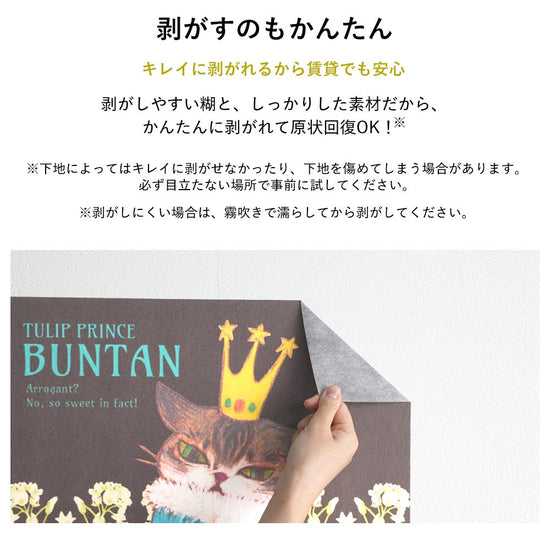 キレイに剝がれるから賃貸でも安心