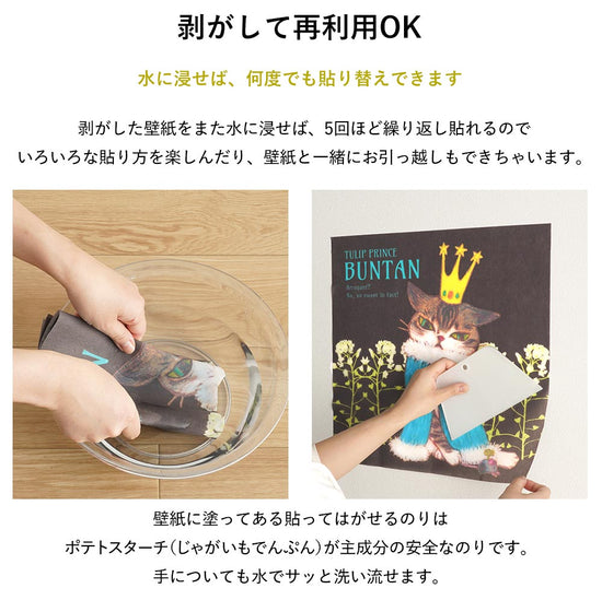 水に浸せば、何度でも貼り替えできる