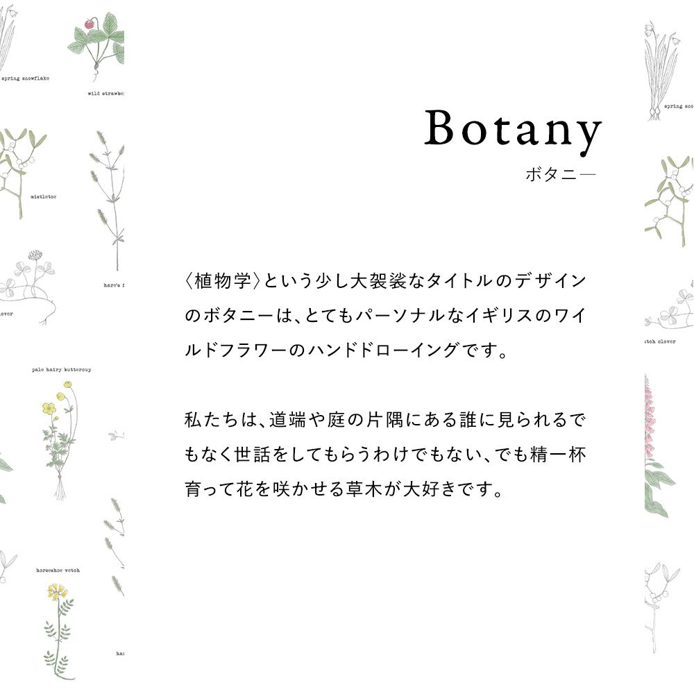 水だけで貼れる壁紙 Hattan Yukari Sweeney ハッタン ユカリ・スウィーニー BOTANY / HYSD-02