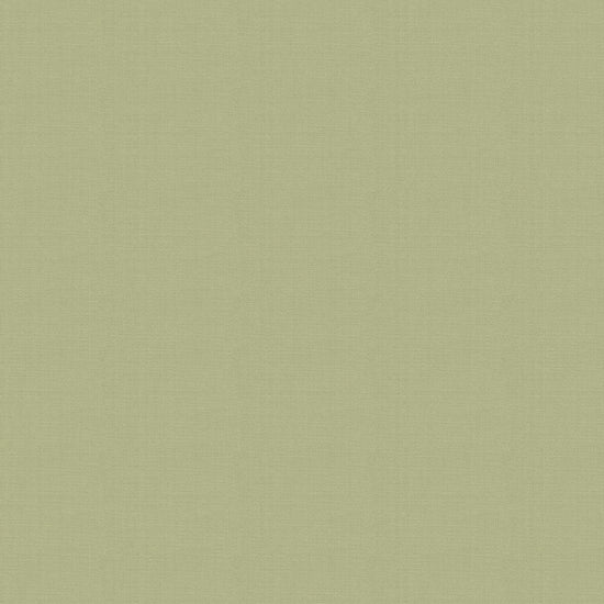 クラシックトーン マジョリカグリーン TKH-CT01