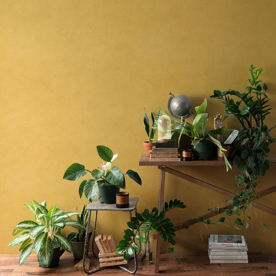 貼りやすいフリース壁紙（のりなし） アーストーン (49cm×2.5mサイズ) NKH-ET02 サンライト