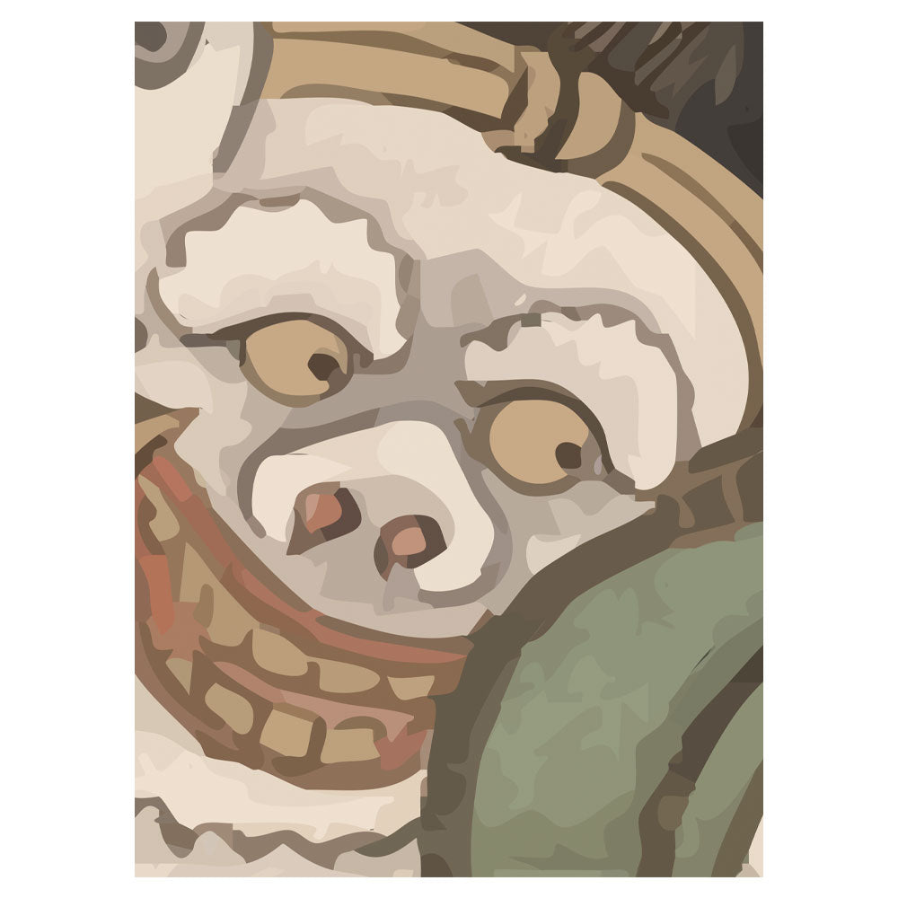 サンプル俯瞰画像