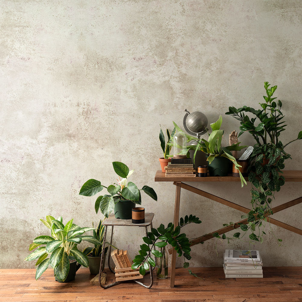 【サンプル】はがせるミューラル壁紙 のりなし ビンテージコンクリート グレージュ NSO-G00052