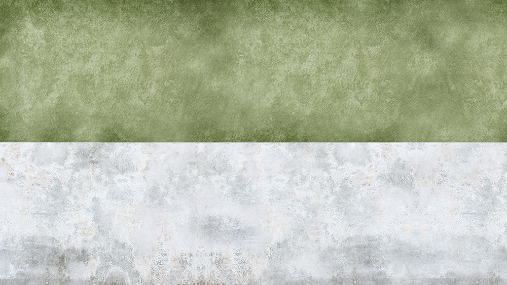 はがせるミューラル壁紙 のりなし ビンテージコンクリート サンド&モス NSO-G00056