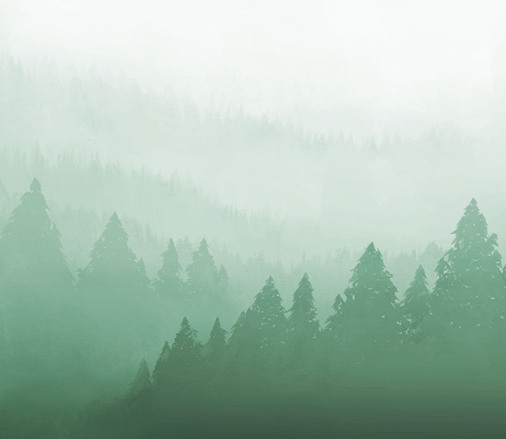 はがせるミューラル壁紙 のりなし Forest Mist Green NSO-G00068