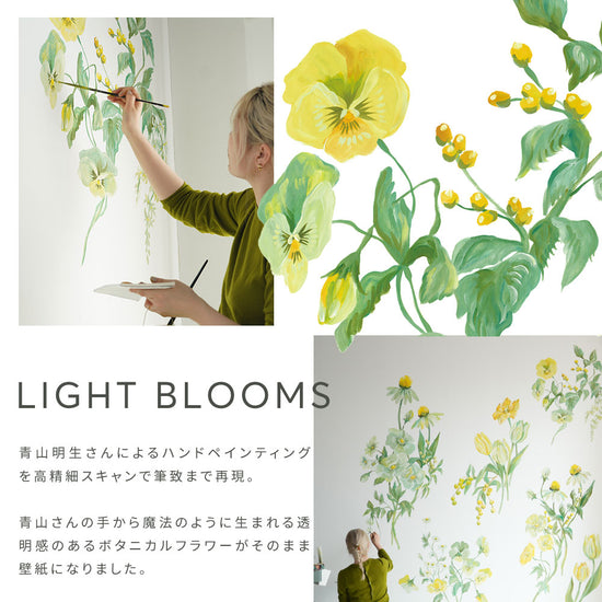 LIGHT BLOOMS