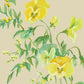 Sand Beige NSO-T00002