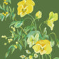 Forest Green TSO-T00003