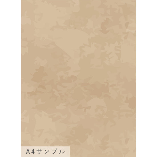 NWSE-FR01サンプル