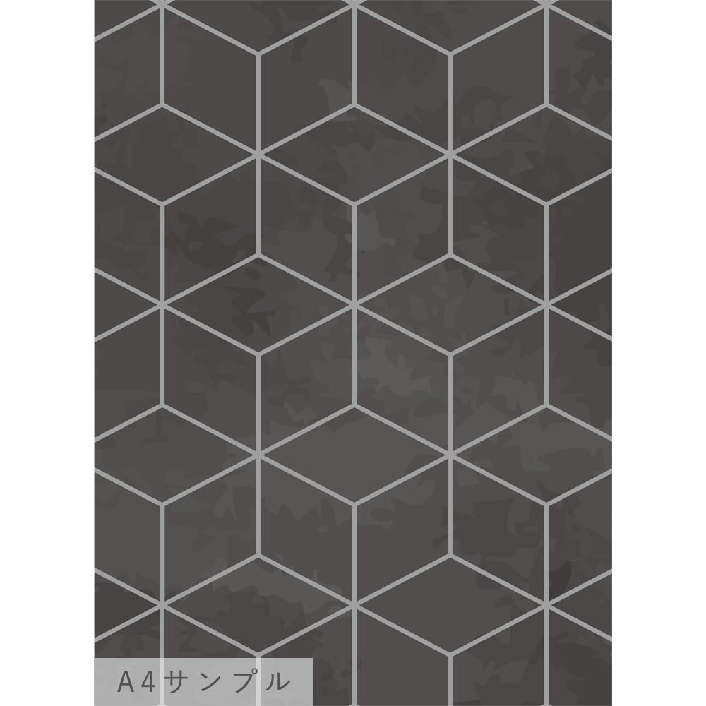 NWSE-FR04サンプル