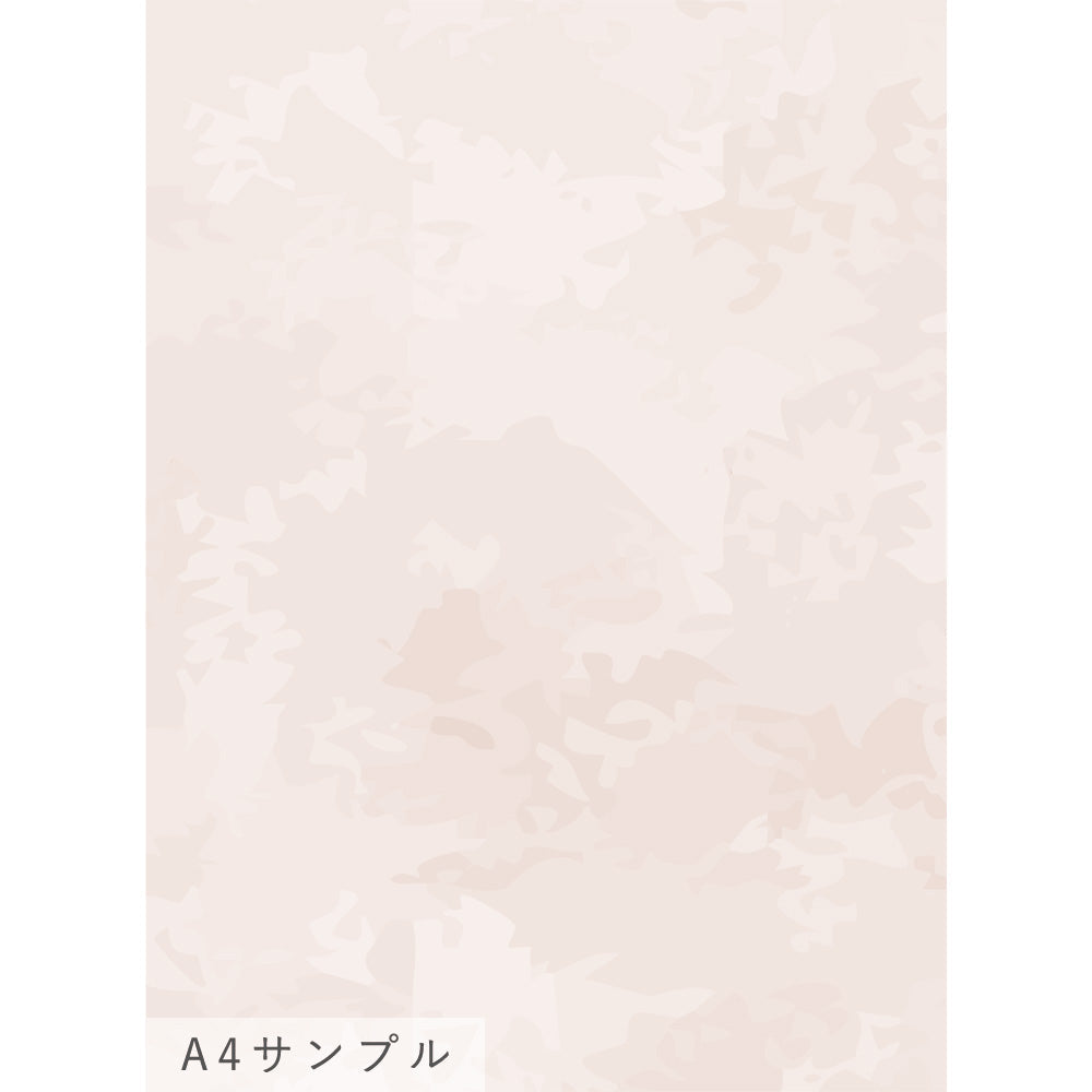 NWSE-SF01サンプル