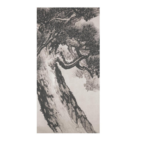 つながる4柄 鈴木松年 老松図屏風 B