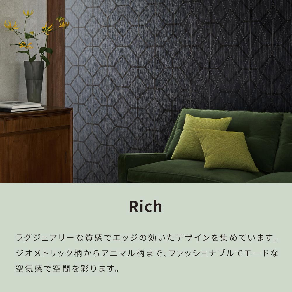Richセレクション説明