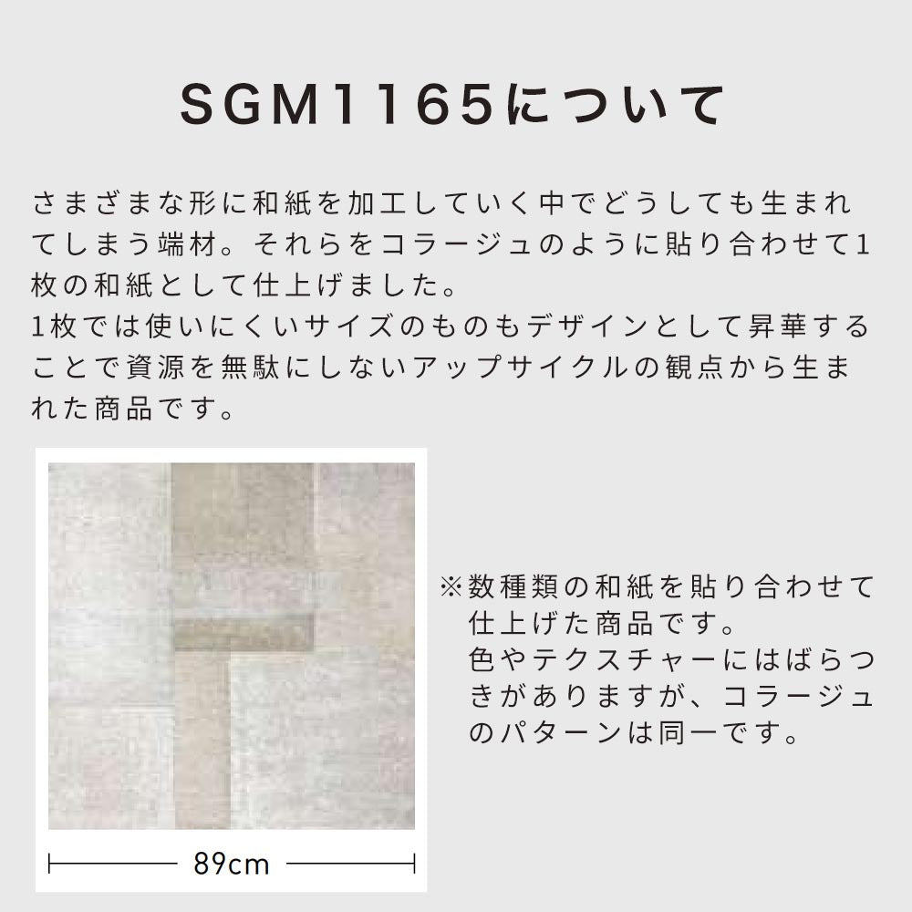 SGM1165について