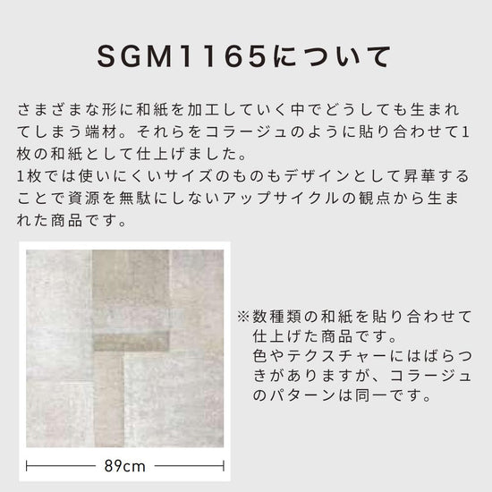SGM1165について