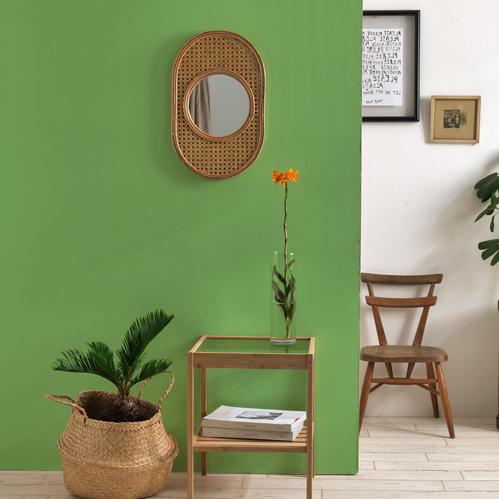 イマジンウォールペイント ペイントセット 4L イエロウィッシュグリーンペイント 【315】 Meadow Green メドウグリーン