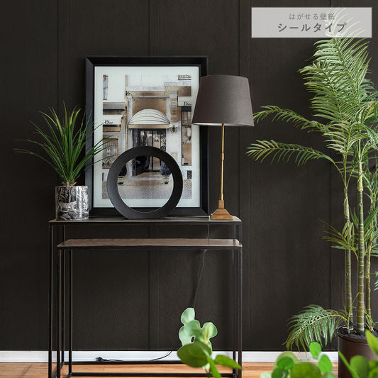 はがせる壁紙 シールタイプ ディープトーンパネル (49cm×3mサイズ) TKH-DT09 オニキス