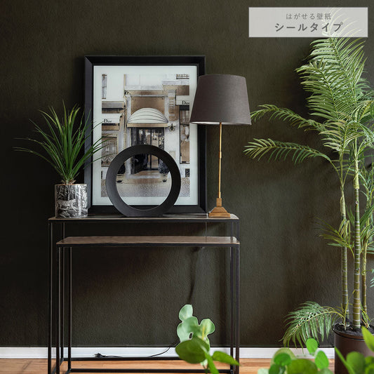 はがせる壁紙 シールタイプ ディープトーン (49cm×3mサイズ) TKH-DT09 オニキス