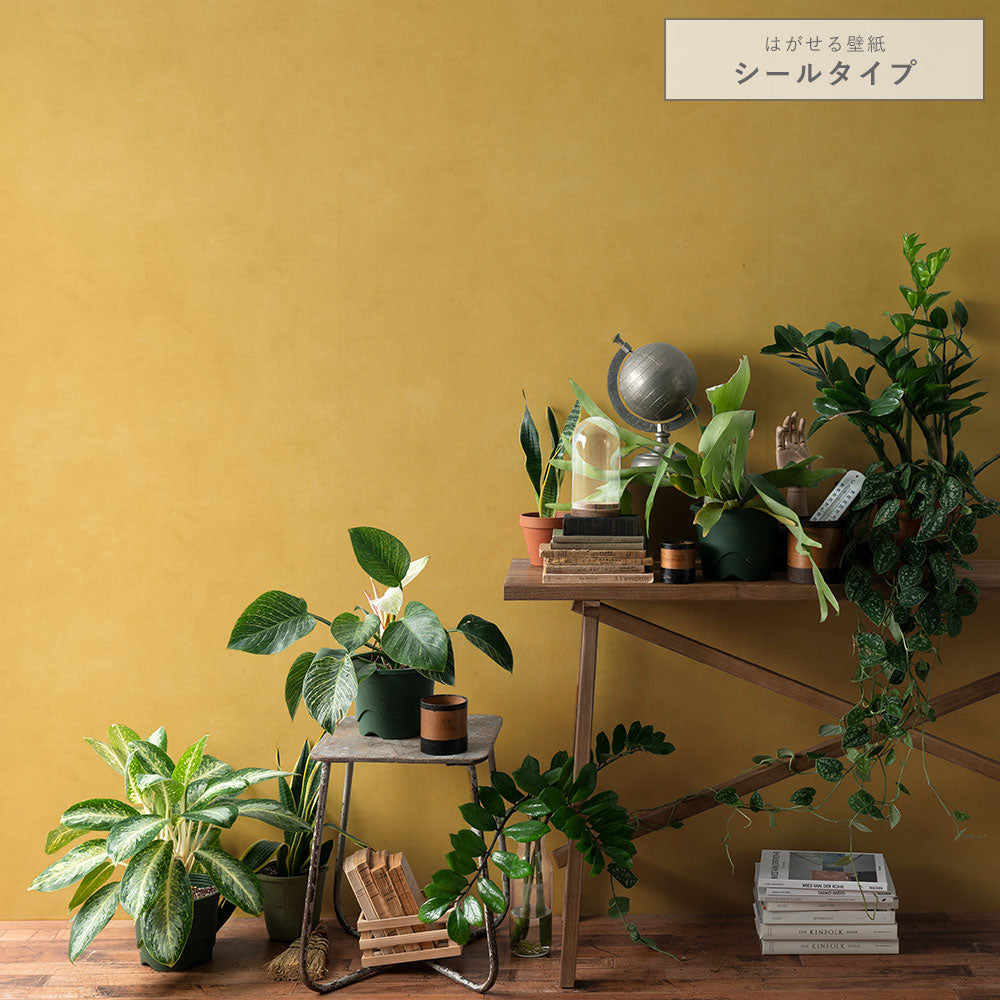 はがせる壁紙 シールタイプ アーストーン (49cm×2.5mサイズ) TKH-ET02 サンライト
