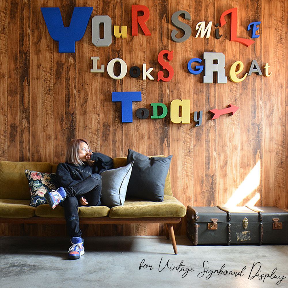 ウォールブロック Sサイズ / フォント11　x（小文字）