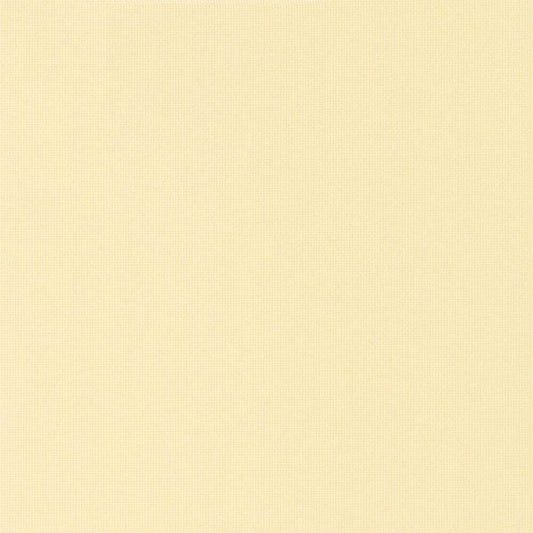 ロールスクリーン 採光タイプ クリーム TR-1003