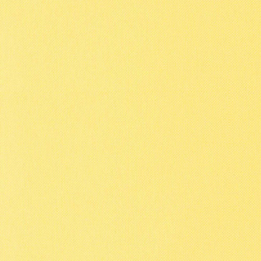 ロールスクリーン 採光タイプ レモン TR-1008