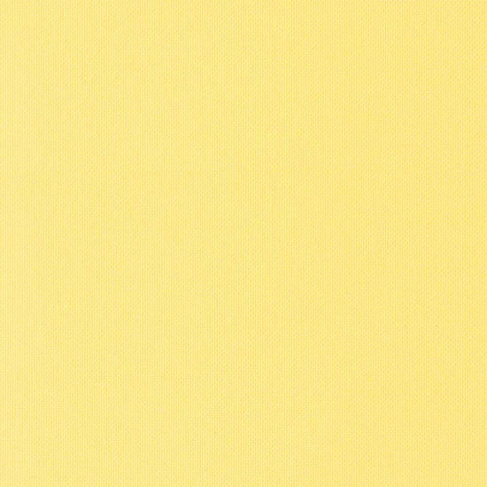 ロールスクリーン 採光タイプ レモン TR-1008